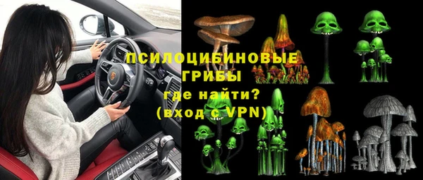 Альфа ПВП Беломорск