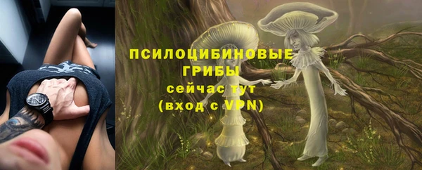 прущий лед Белоозёрский