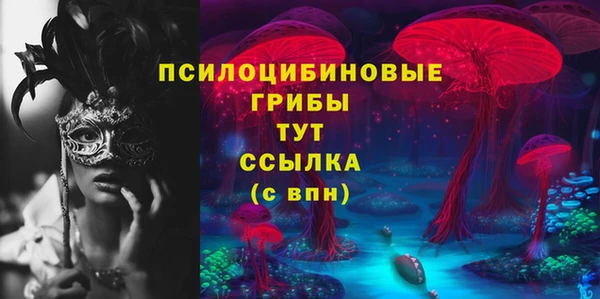 Альфа ПВП Беломорск