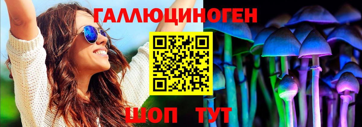 Псилоцибиновые грибы MAGIC MUSHROOMS  Вход с VPN  где продают   Горячий Ключ 